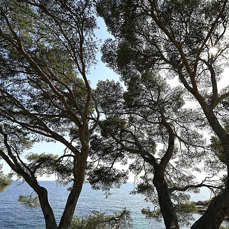 2a4 Pers Avec Jardin Et Place De Parking Situe A 5 Min A Pied De La Apartment *