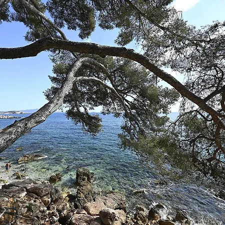 2a4 Pers Avec Jardin Et Place De Parking Situe A 5 Min A Pied De La Lägenhet Bandol